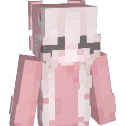 Ninjels's Minecraft skin
