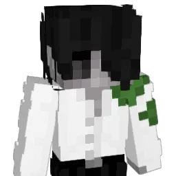 Minecraft-Skin von Ninraeth