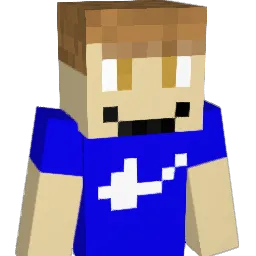 NintenFan Minecraft avatar bust