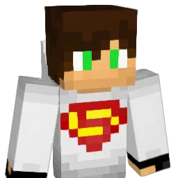 Nintendinho_BR Minecraft avatar bust