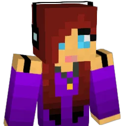Ninthletter Minecraft avatar bust