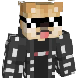 NinvisibleYT Minecraft avatar bust