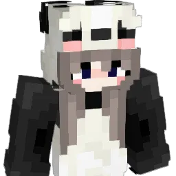 Niobe123 Minecraft avatar bust