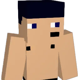 NippIeMan22 Minecraft avatar bust
