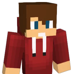 Nirakas Minecraft avatar bust