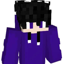 NiralG Minecraft avatar bust