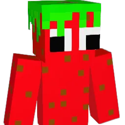 Niroto Minecraft avatar bust