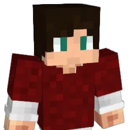 Nirsus Minecraft avatar bust