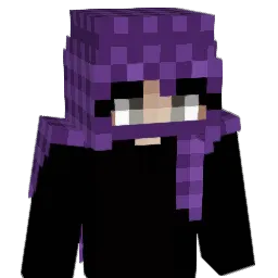 Nis33 Minecraft avatar bust