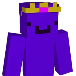 Niselo Minecraft avatar bust