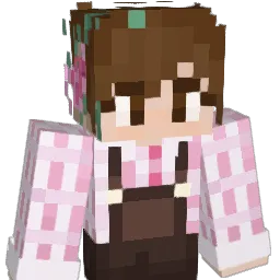 Niss1743 Minecraft avatar bust