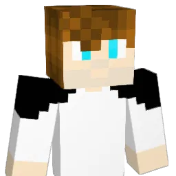 Nisse_16 Minecraft avatar bust