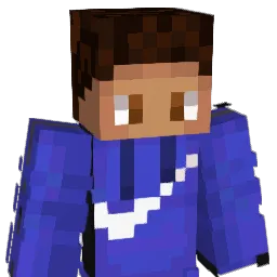 Niswacc Minecraft avatar bust