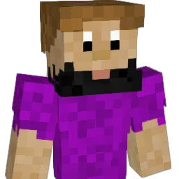 Nite0wlz Minecraft avatar bust