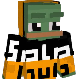 Nited987 Minecraft avatar bust