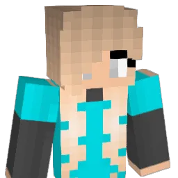 Nitro9519 Minecraft avatar bust