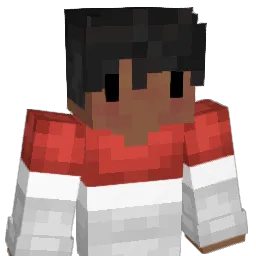 Niveed Minecraft avatar bust