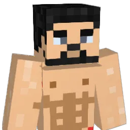 Nivlac305 Minecraft avatar bust