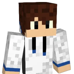 Nixsuu Minecraft avatar bust