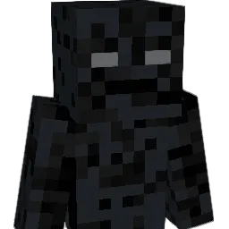 NlZ_ Minecraft avatar bust