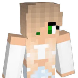 Nmago Minecraft avatar bust
