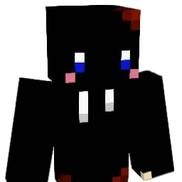 Nmkmn88 Minecraft avatar bust