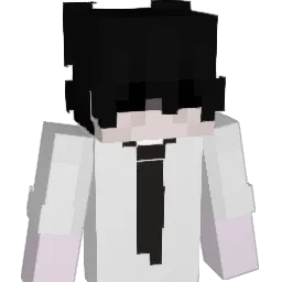 NnovaL Minecraft avatar bust