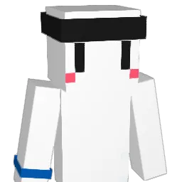 NoBF_ Minecraft avatar bust