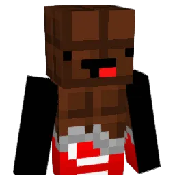 NoBodyKnowsWhy Minecraft avatar bust