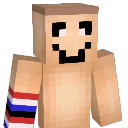 NoHacJustSkill Minecraft avatar bust