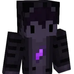 NoHaxJustStamis Minecraft avatar bust