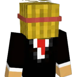 NoManHero Minecraft avatar bust