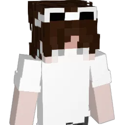 NoPeaceful Minecraft avatar bust