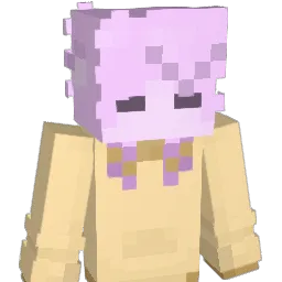 NoSkillsy Minecraft avatar bust