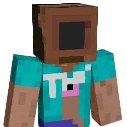 NoSuch_ Minecraft avatar bust