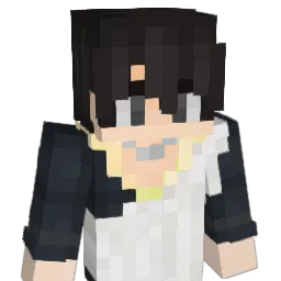 NoVPN's Minecraft skin