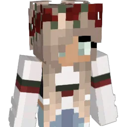No_Flaws Minecraft avatar bust