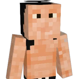 Noa0707 Minecraft avatar bust