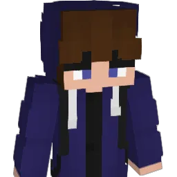 Noah310YT Minecraft avatar bust