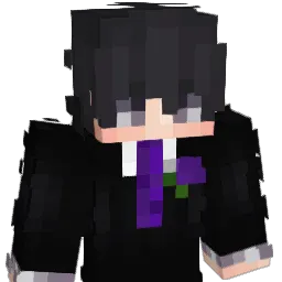 NoahDe1212 Minecraft avatar bust
