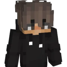 Noah_HD07 Minecraft avatar bust