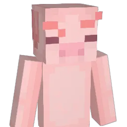 Noahhns Minecraft avatar bust