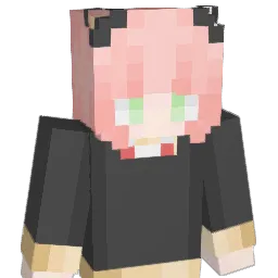 Noam1342007 Minecraft avatar bust