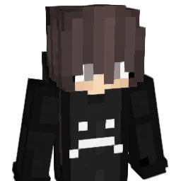 Noampiko Minecraft avatar bust