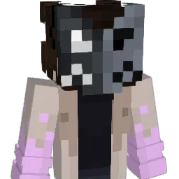 Noctbee Minecraft avatar bust