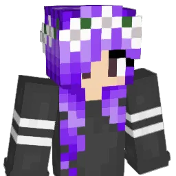 NocturnlCreature Minecraft avatar bust