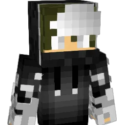 NogainRogain Minecraft avatar bust
