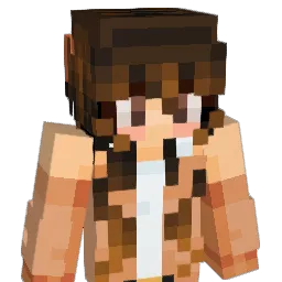 NokiRC Minecraft avatar bust