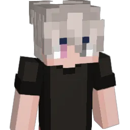 Nokt_Minecraft Minecraft avatar bust