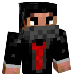 Nol1401 Minecraft avatar bust